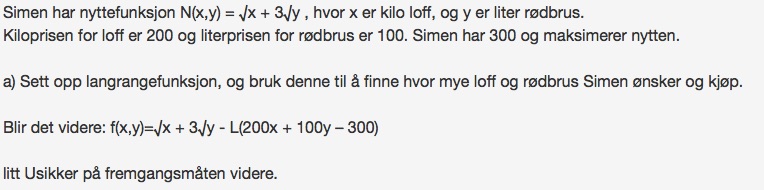 Nyttefunksjon.jpg