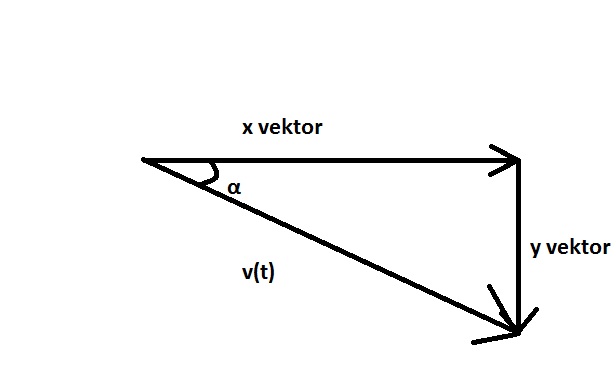 vektorting