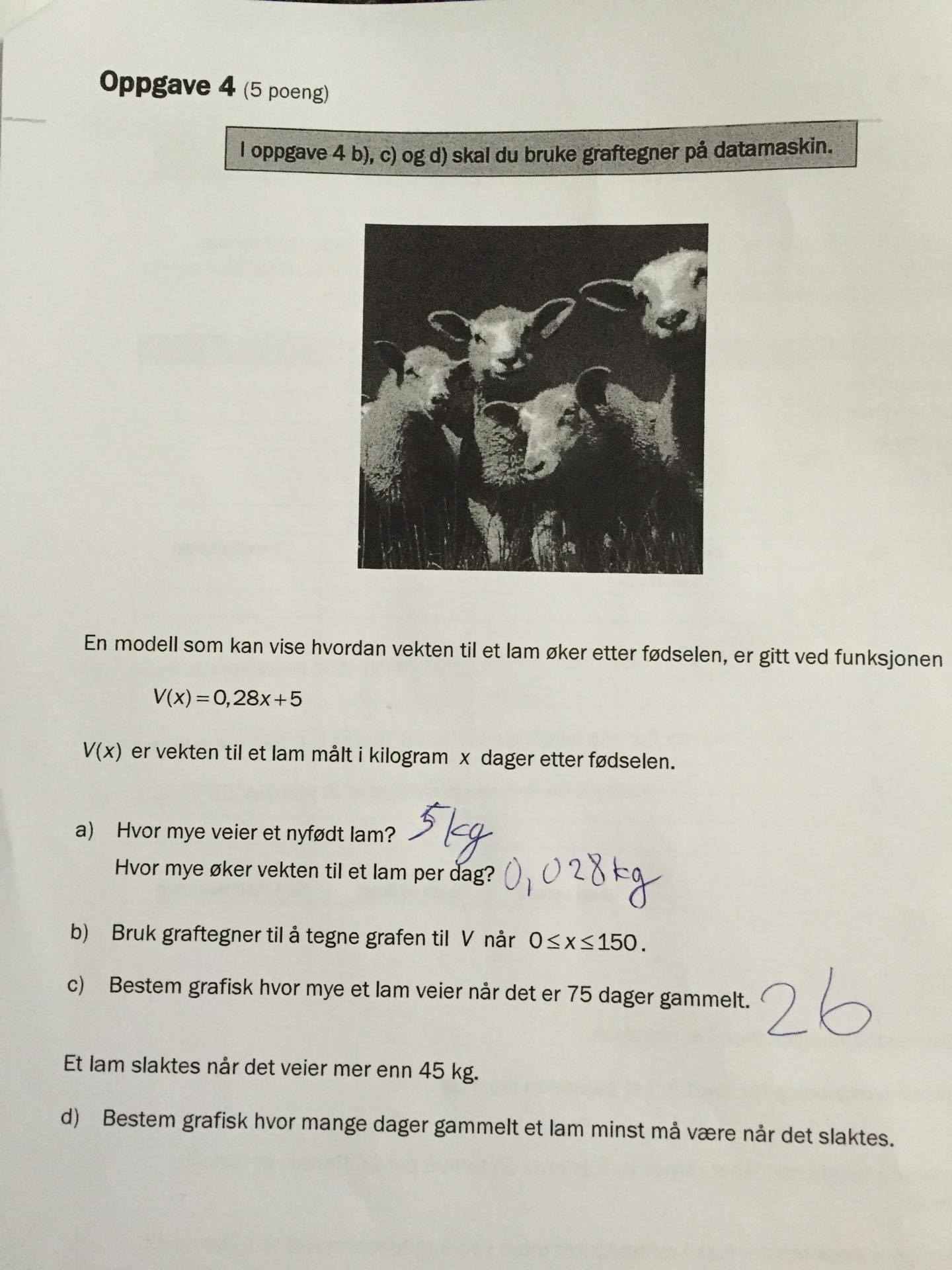 Oppgaven